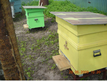 DSCN2567.JPG