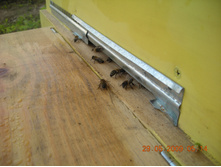 DSCN2565.JPG