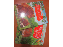 http://www.labirint.ru/books/259249/