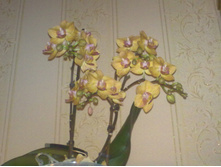 190320121142.jpg
