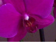 DSC00479.jpg