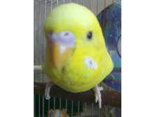 04052010025.jpg