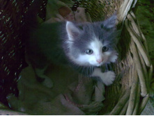 07052010068.jpg