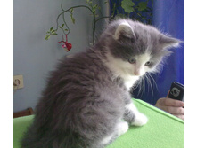 08052010082.jpg