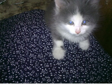 11052010093.jpg