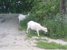 14062010238.jpg