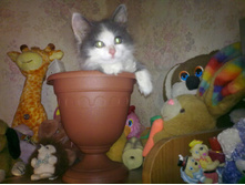 25052010179.jpg
