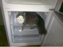 230520131541.jpg