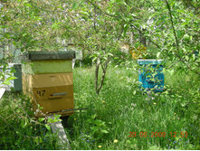 DSCN2575.JPG