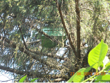 DSCN6758.JPG