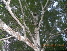DSCN6825.JPG