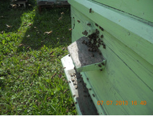 DSCN6977.JPG