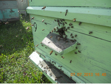 DSCN6978.JPG