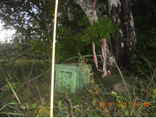 DSCN6826.JPG