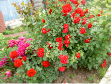 PICT6765.JPG