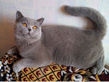 20140315_123107.jpg