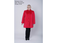 ���� ����� 50-64  4600�  66-80  5150�
