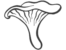 7f4139df1939.gif