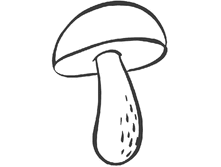 1216a3817798.gif