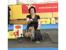 1-IMG_9618.JPG