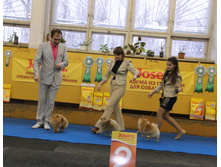 1-IMG_9630.JPG