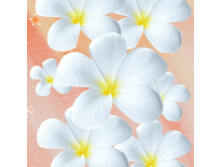 shop6931.gif