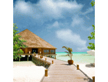 shop6973.jpg