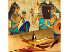 shop6984.jpg