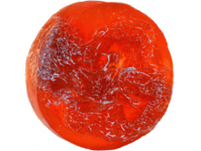���������.png