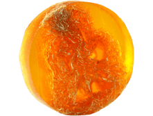 ������.png