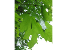 23.05.2010 16:41:43