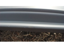 S1020007.JPG