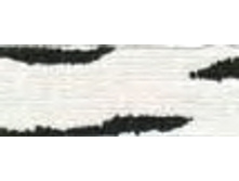 354.jpg