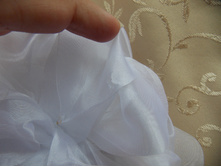 DSCN1538.jpg