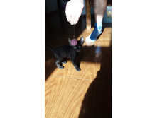 2014-03-05 13.18.42.jpg