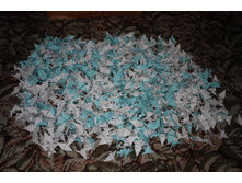 ���� ����