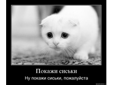 47980768-3286qjfrcwou.jpg