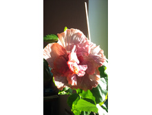 DSC00025.JPG