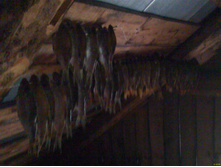 DC111004001.jpg