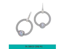 FA300_25ORB_PG.jpg