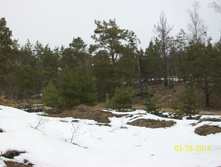 100_2467.JPG