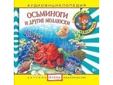 AE_FACE_OSMINOG_14_01_500x500.jpg