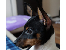 DSC02242.JPG