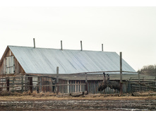 _A172245.jpg