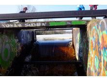 DSCF5115.JPG