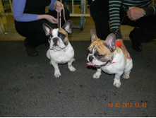 DSCN4191.JPG