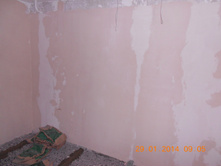 DSCN0646.jpg