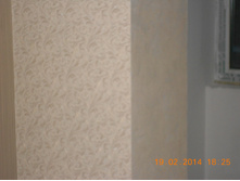 DSCN0678.jpg