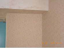DSCN0684.jpg
