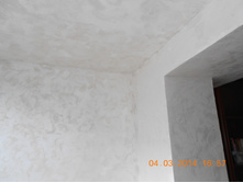 DSCN0706.jpg